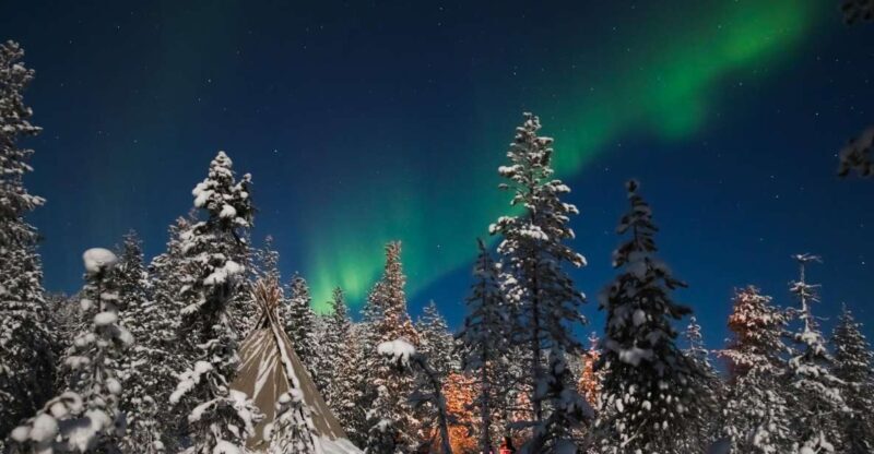 Rovaniemi: Aurora Borealis and Picnic - Rovaniemi: Aurora Borealis and Picnic – A Genuine Look at a Northern Lights Adventure