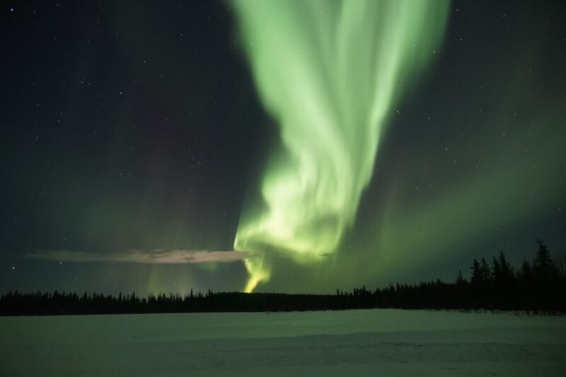 Rovaniemi: Aurora Borealis and Picnic - Who Is This Tour Best For?