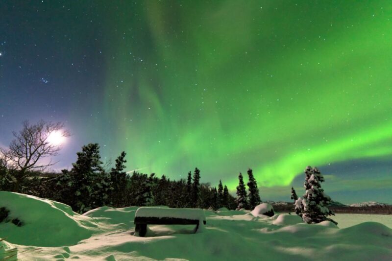Rovaniemi: Aurora Borealis Snowmobile Safari with Campfire - An In-Depth Look at the Snowmobile Safari Experience