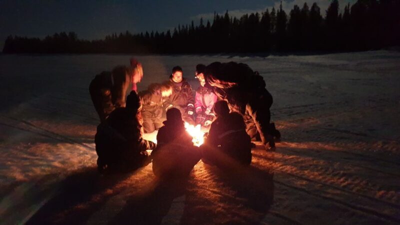 Rovaniemi: Aurora Borealis Snowmobile Safari with Campfire - The Sum Up
