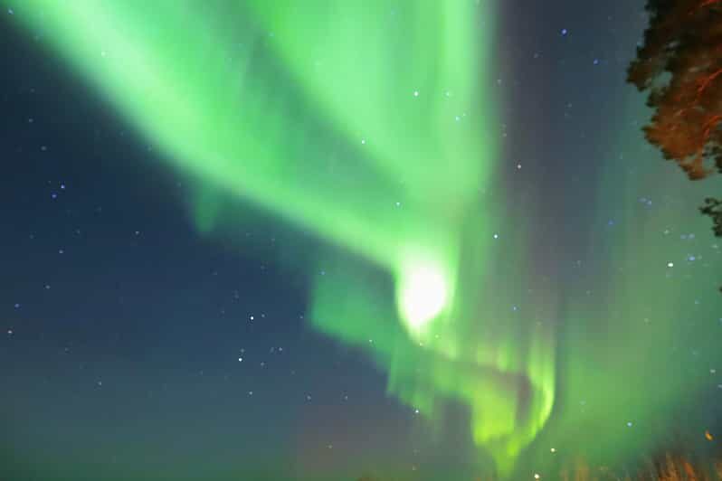Rovaniemi: Aurora Borealis Trip  Autumn - Key Points