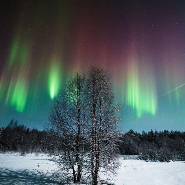 Rovaniemi: Aurora Hunt with Photos and Money Back Guarantee - FAQ
