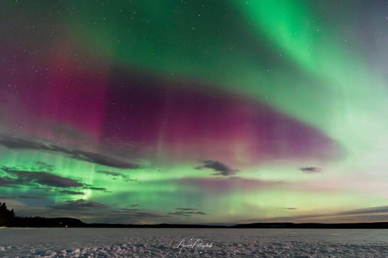 Rovaniemi: Aurora Hunting & Photography Tour - A Deep Dive into the Aurora Hunting & Photography Tour