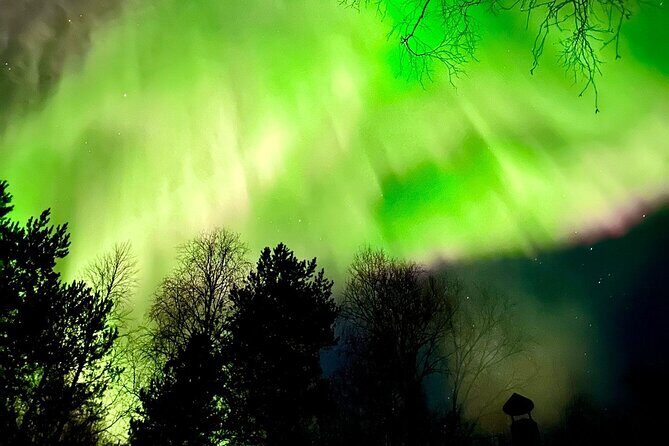 Rovaniemi: Aurora Hunting & Photography Tour - The Possibility of Seeing the Aurora: Caution and Hope
