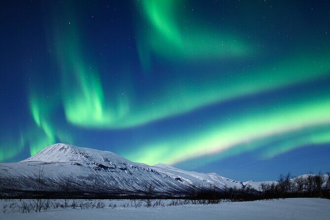 Rovaniemi Aurora Hunting Tour - Analyzing the Value