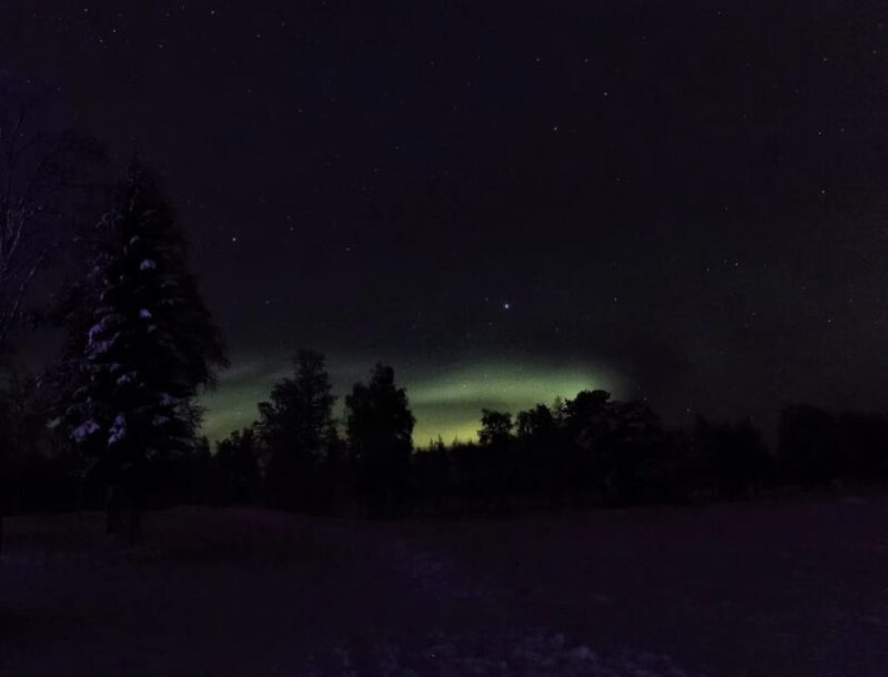 Rovaniemi: Aurora Hunting Tour in the Forest with Hot Drinks - Key Points