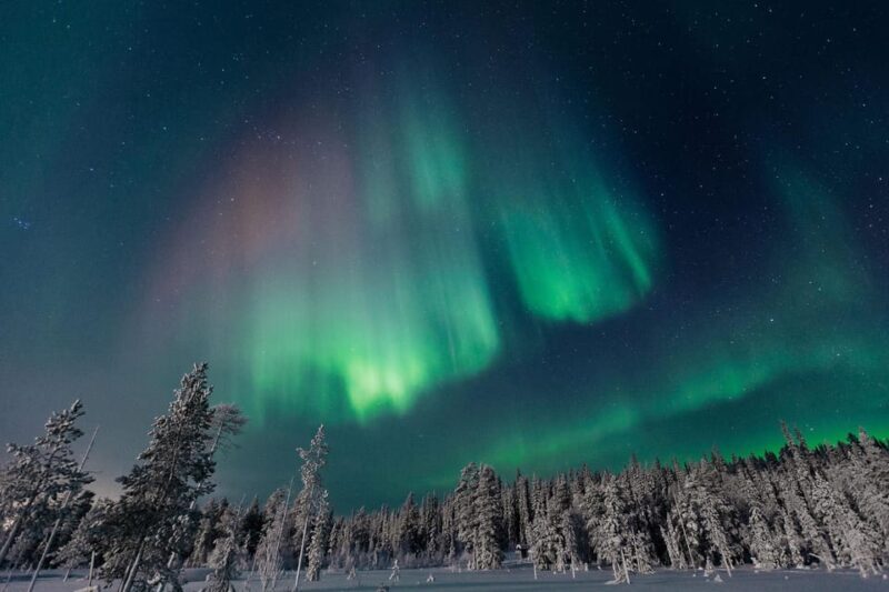 Rovaniemi: Aurora Hunting Tour in the Forest with Hot Drinks - An In-Depth Look at the Aurora Hunting Experience