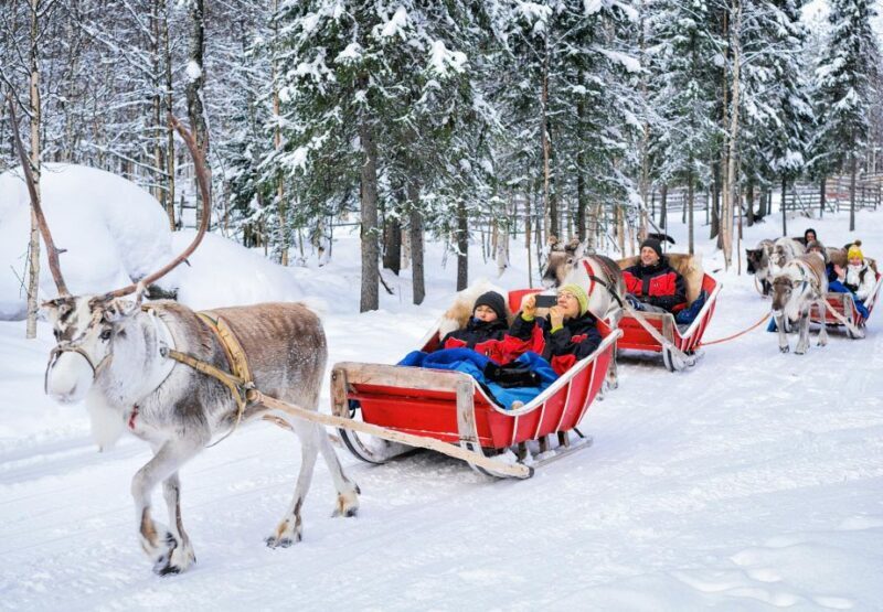 Rovaniemi: Authentic Reindeer Farm Visit and Sleigh Ride - The Sum Up