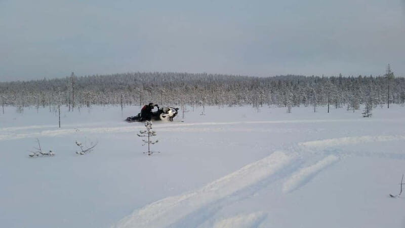 Rovaniemi: Backwoods Adventure Full Day Snowmobile Safari - An In-Depth Look at the Rovaniemi Snowmobile Safari