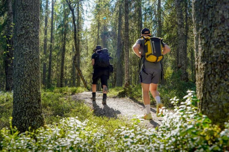 Rovaniemi: Berry and Mushroom Picking with Wilderness Guide - Why This Tour Works Well