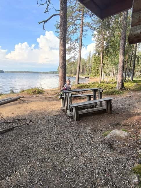 Rovaniemi: Berry Picking Tour with Traditional Laavu - Key Points