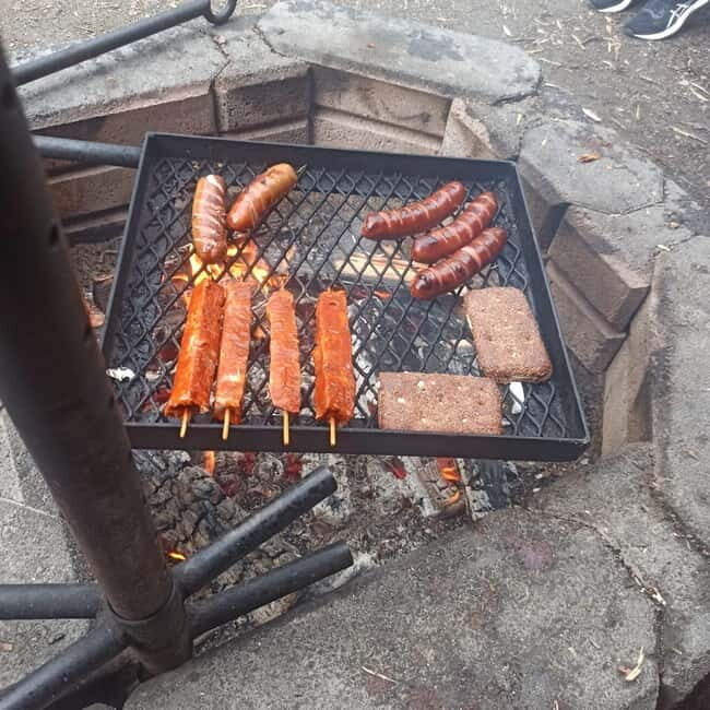 Rovaniemi: Berry Picking Tour with Traditional Laavu - FAQ