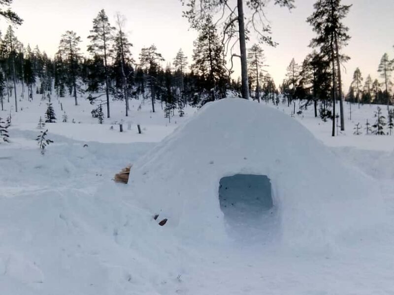 Rovaniemi: Building a Snow Igloo - Who Would Love This Experience