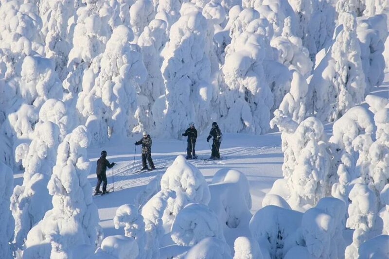 Rovaniemi: Cross Country Wilderness Ski Adventure - Exploring the Details of the Tour