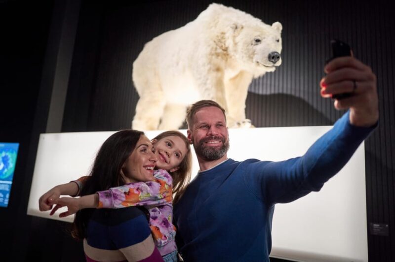 Rovaniemi: Culture Pass to Arktikum, Korundi, and Pilke - Key Points