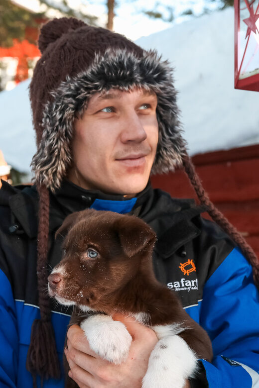 Rovaniemi: Daytime Husky Safari - The Experience: What to Expect