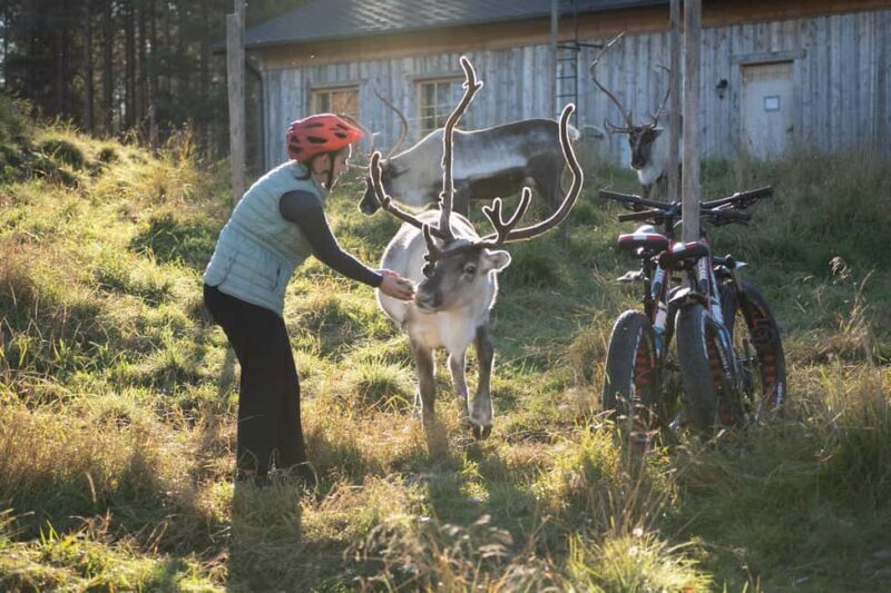 Rovaniemi: E-fatbike Trip to the Reindeer Farm - Key Points