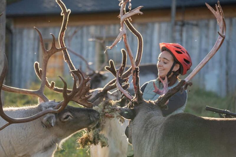 Rovaniemi: E-fatbike Trip to the Reindeer Farm - A Deep Dive into the Experience