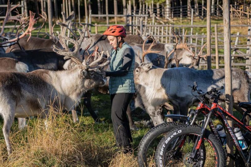 Rovaniemi: E-fatbike Trip to the Reindeer Farm - Final Thoughts