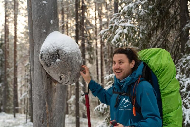 Rovaniemi: Early Snow Hiking Adventure with Snacks - Pricing and Value