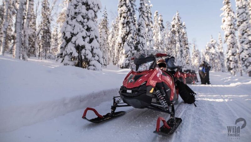 Rovaniemi: Easy Snowmobile Safari - Key Points