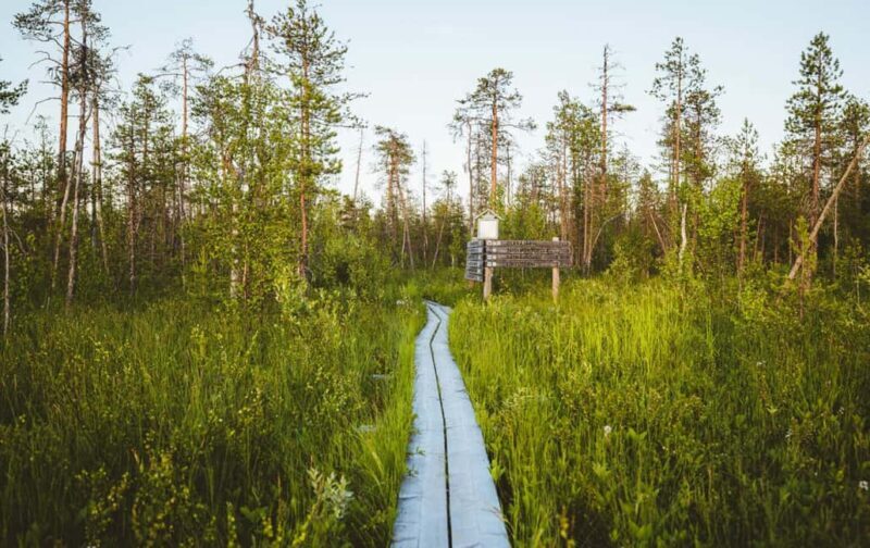 Rovaniemi: Electric Fatbike Rental with Helmet - The Ride & Terrain