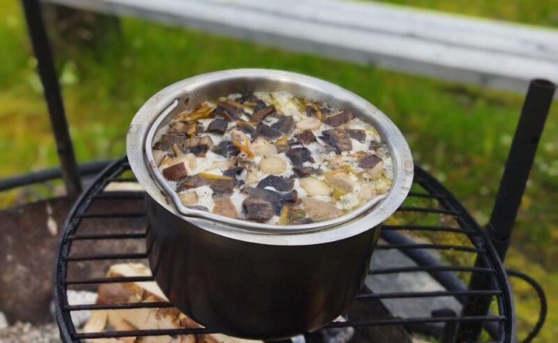 Rovaniemi forest foraging adventure: Pick, Prepare, Savor - Key Points