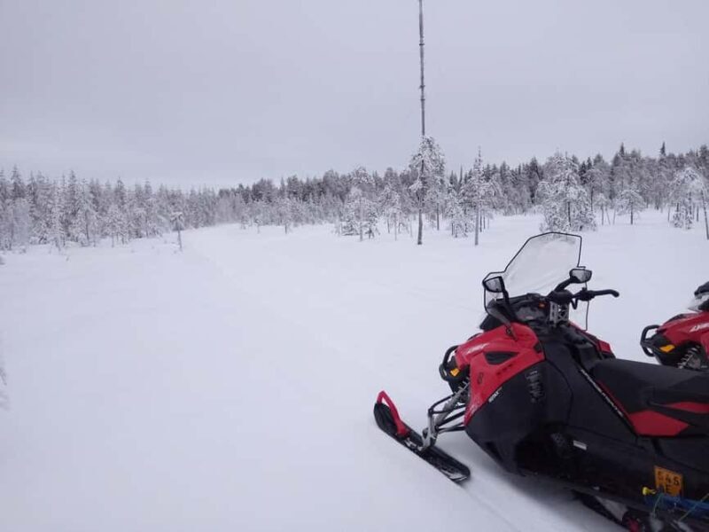 Rovaniemi: Full-Day Snowmobile Adventure - Key Points