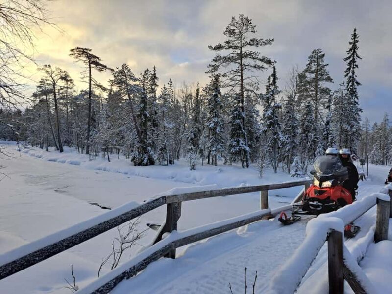 Rovaniemi: Full-Day Snowmobile Adventure - Frequently Asked Questions