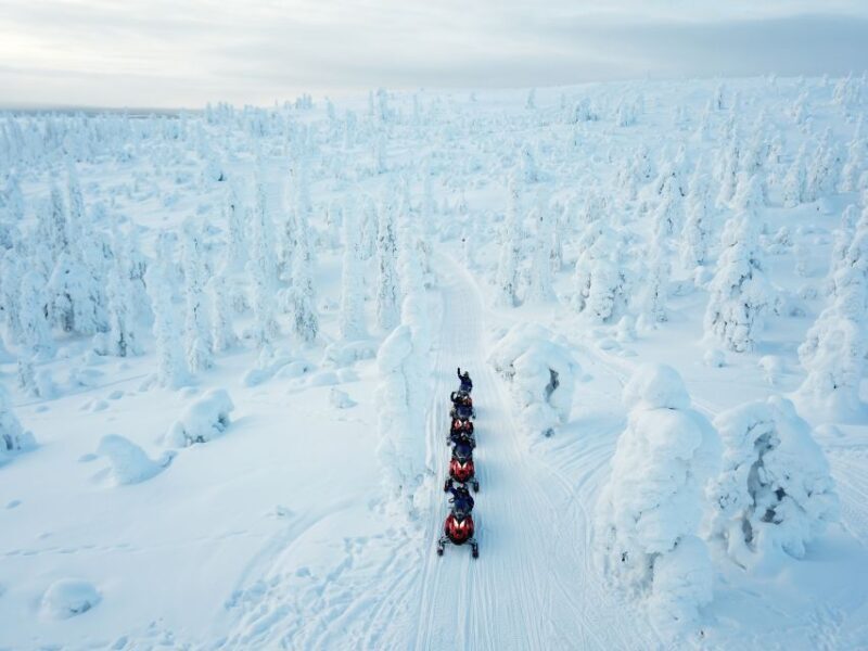 Rovaniemi: Full Day Snowmobile Safari into the Wilderness - Key Points