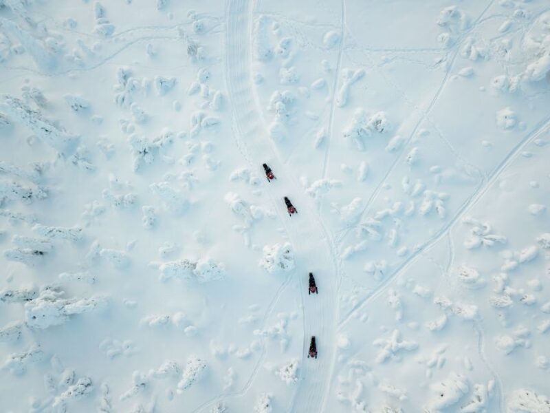 Rovaniemi: Full Day Snowmobile Safari into the Wilderness - Pricing and Value