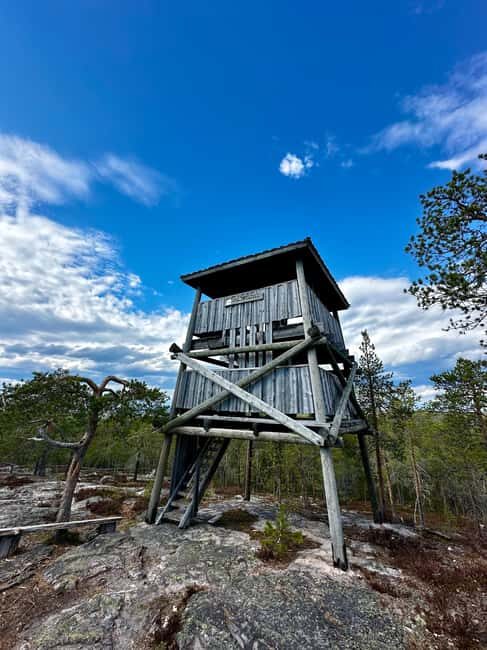 Rovaniemi: Full-Day Tour to Lapland's Best Attractions 5in1 - Who Should Consider This Tour?