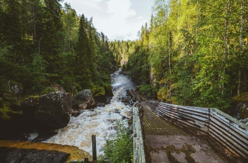 Rovaniemi: Full-Day Tour to Lapland's Best Attractions 5in1 - FAQ