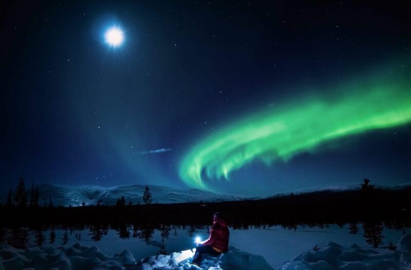 Rovaniemi: Guaranteed Aurora Hunting Tour with Local Guide - What Makes This Tour Stand Out?