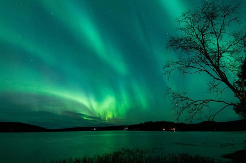 Rovaniemi: Guaranteed Aurora Hunting Tour with Local Guide - What Reviewers Say