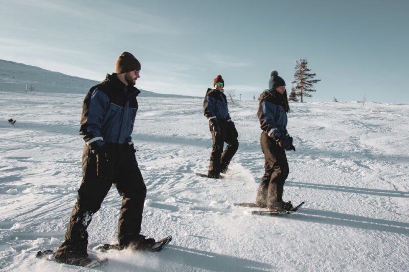 Rovaniemi: Guided Lappish Wilderness Snowshoeing Adventure - Who Will Love This Experience?