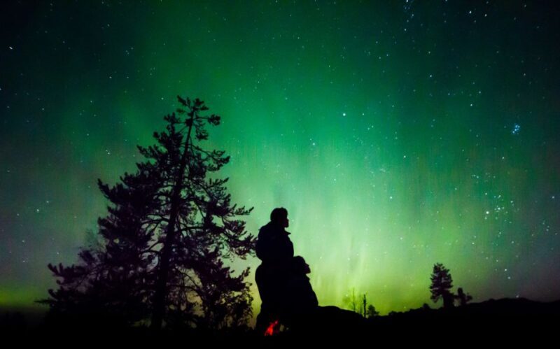 Rovaniemi: Guided Northern Lights Tour - An Authentic Arctic Experience with a Personal Touch