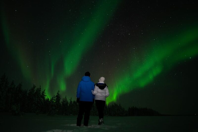 Rovaniemi: Guided Northern Lights Tour - The Value of This Tour