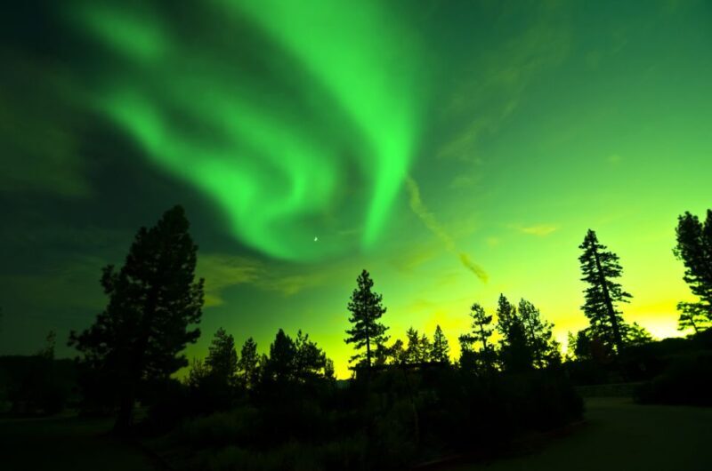 Rovaniemi: Guided Northern Lights Tour - FAQ