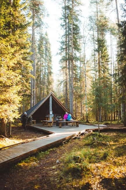 Rovaniemi: Guided tour in Arctic Circle Trekking area - Analyzing the Experience: What to Expect