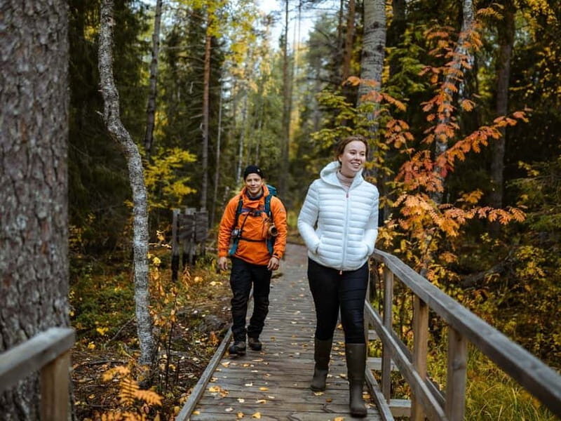 Rovaniemi: Guided tour in Arctic Circle Trekking area - The Sum Up