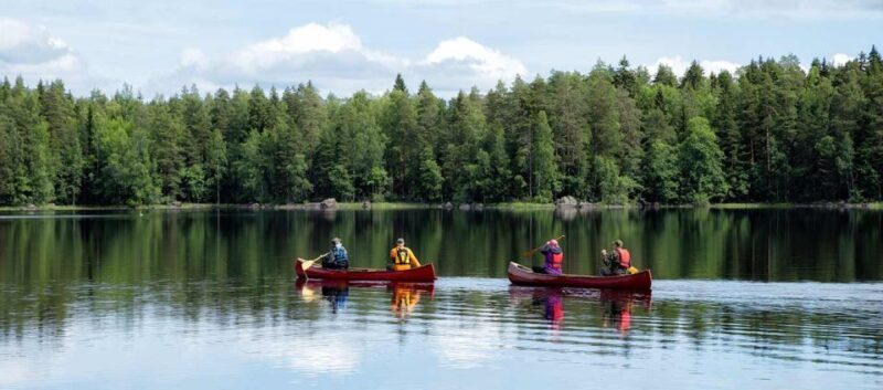 Rovaniemi: Guided Wilderness Kayaking Adventure - Key Points