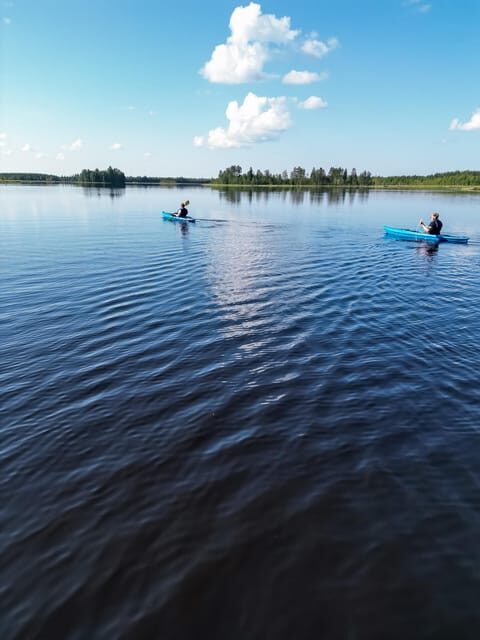 Rovaniemi: Guided Wilderness Kayaking Adventure - Who Is This Tour Perfect For?