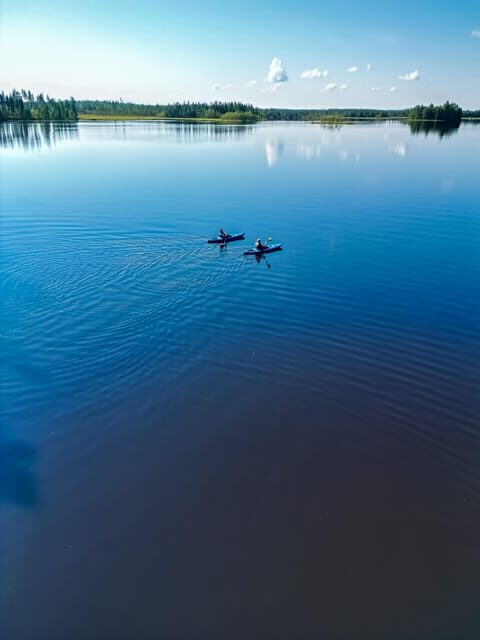 Rovaniemi: Guided Wilderness Kayaking Adventure - The Sum Up