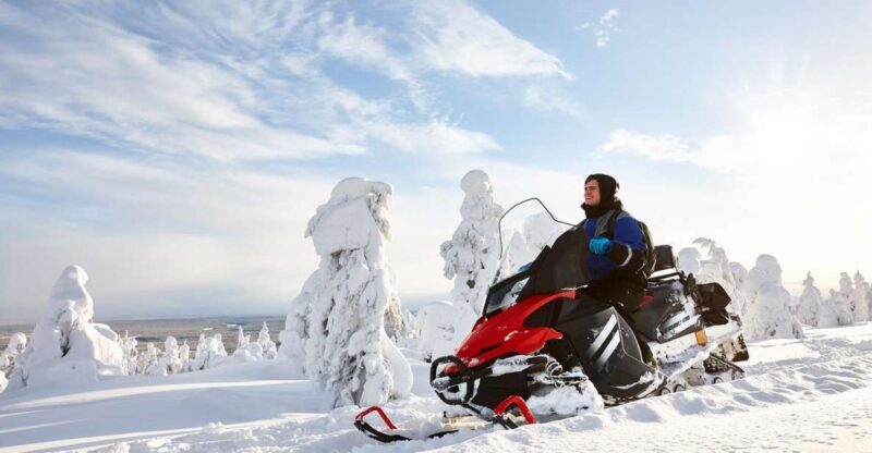 Rovaniemi: Guided Wilderness Snowmobile Ride - The Itinerary: What You Can Expect