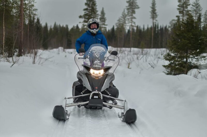 Rovaniemi: Guided Wilderness Snowmobile Safari & Barbeque - An Outdoor Adventure in Lapland’s Wilderness