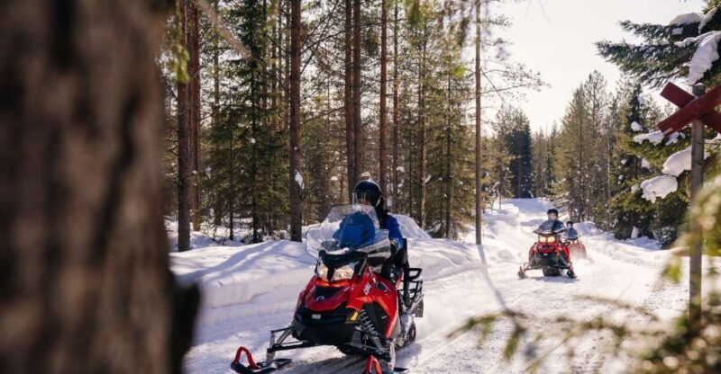 Rovaniemi: Half-Day Snowmobile Tour - Key Points