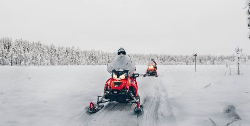 Rovaniemi: Half-Day Snowmobile Tour - The Authentic Side of the Tour