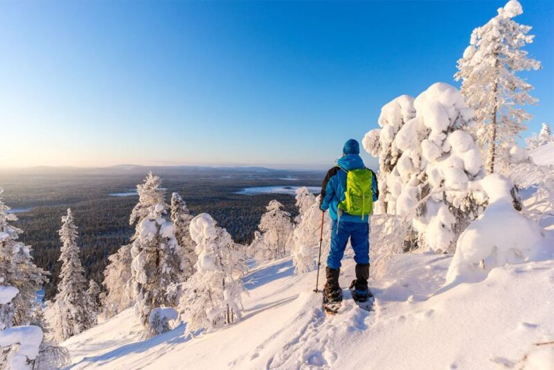 Rovaniemi: Hiking and Snowshoeing Adventure in Lapland - First Impressions and Booking