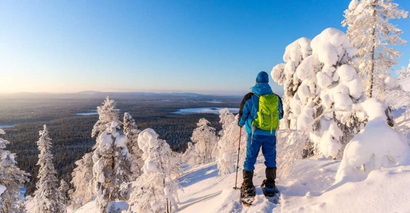 Rovaniemi: Hiking and Snowshoeing Adventure in Lapland - The Guides: Making a Difference